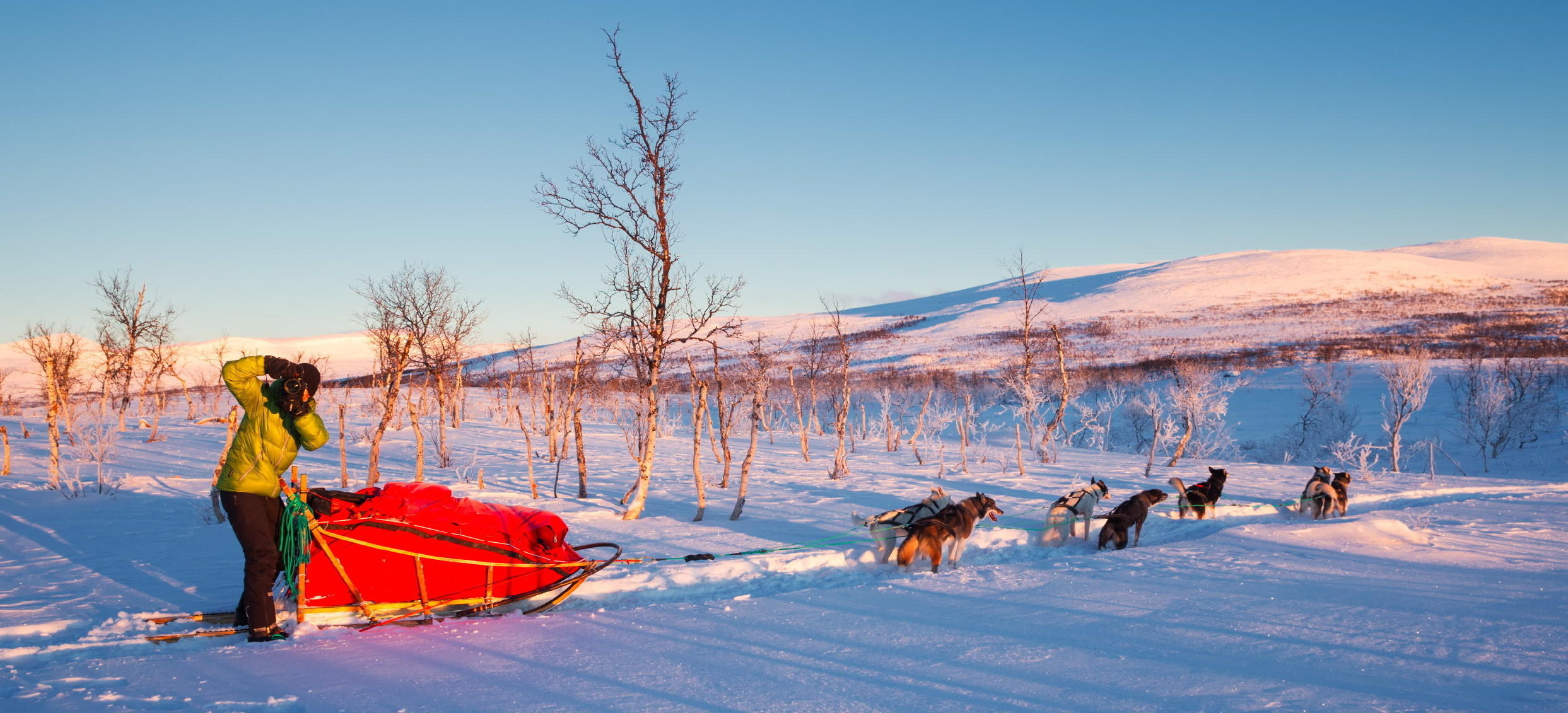 Dogsledding through Dividal and Rohkunborri National Parks. Norway.